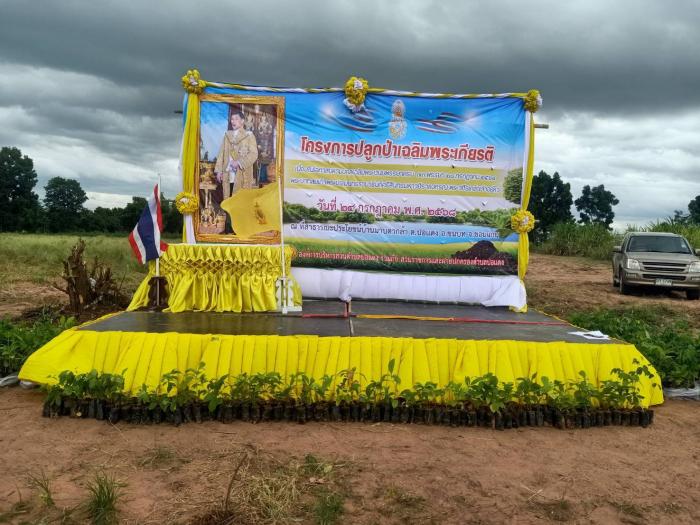 โครงการปลูกป่าเฉลิมพระเกียรติ ร.10 ปี 2568